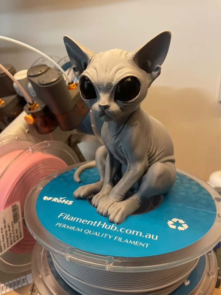 Alien Cat, 3D printed in PLA Pro Slate Grey