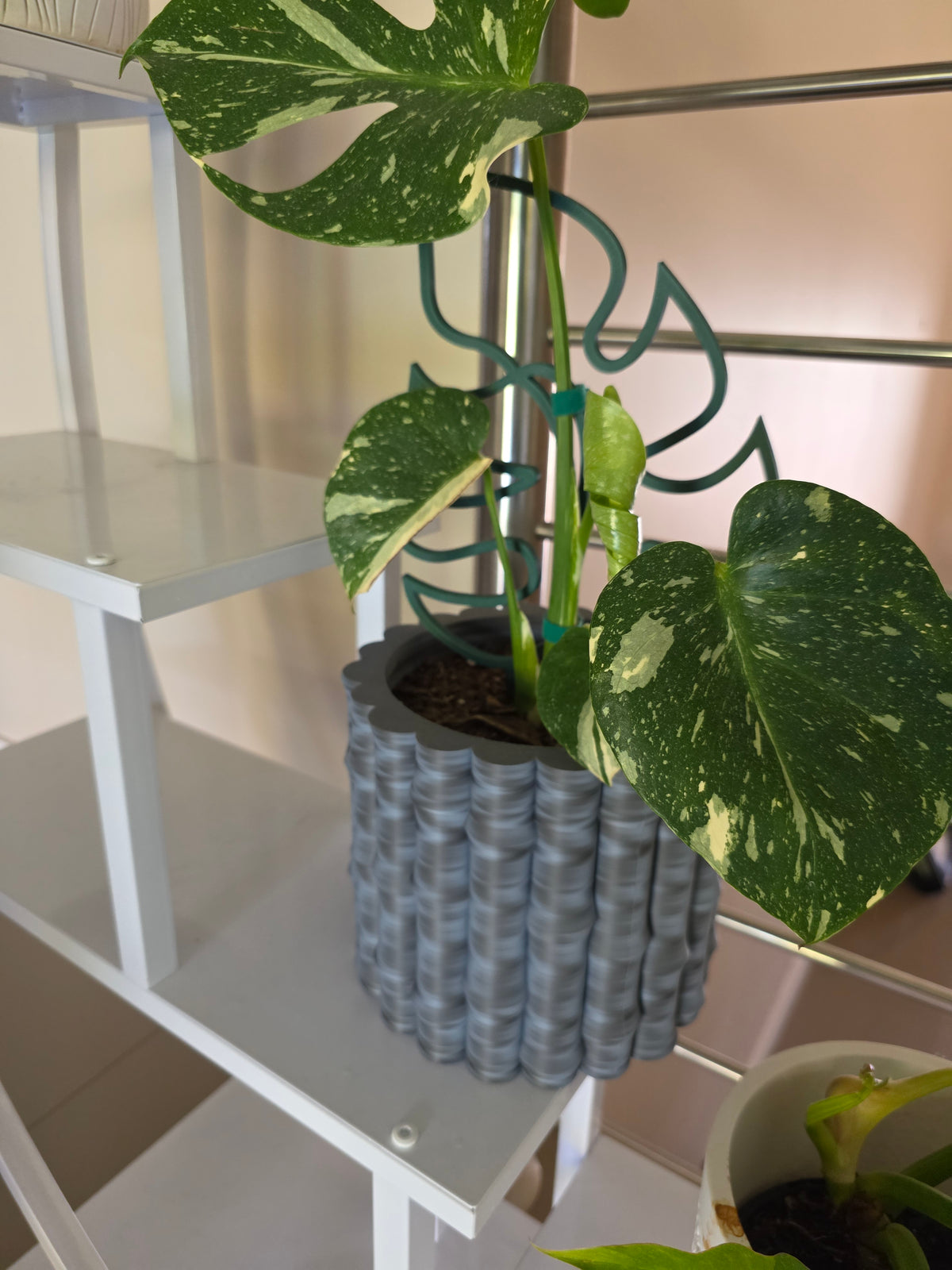 Monstera Pot Plant, 3D printed in PLA Saturn - Black-White and PLA Matte Military Green