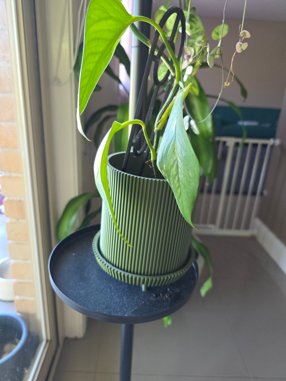 military green pot plant, 3D printed in PLA Matte Military Green